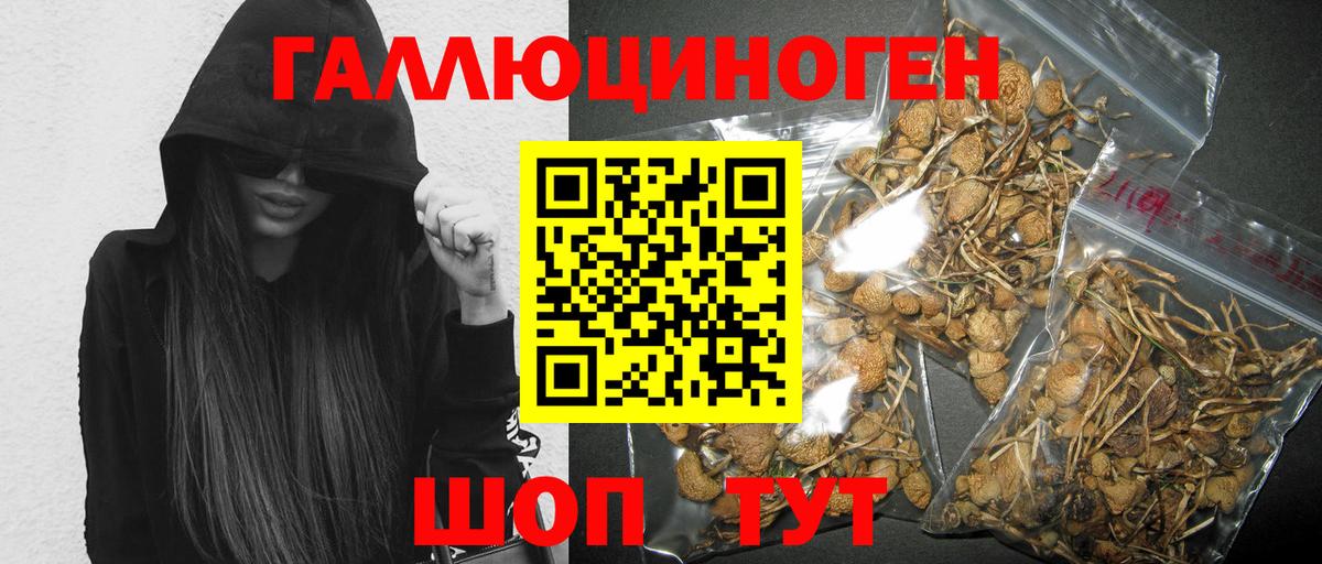 Псилоцибиновые грибы Psilocybe  Вход с VPN  Галлюциногенные грибы Psilocybine cubensis  что такое наркотик  Тихвин 