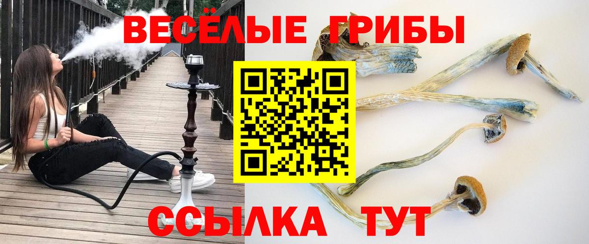 Галлюциногенные грибы GOLDEN TEACHER Тихвин